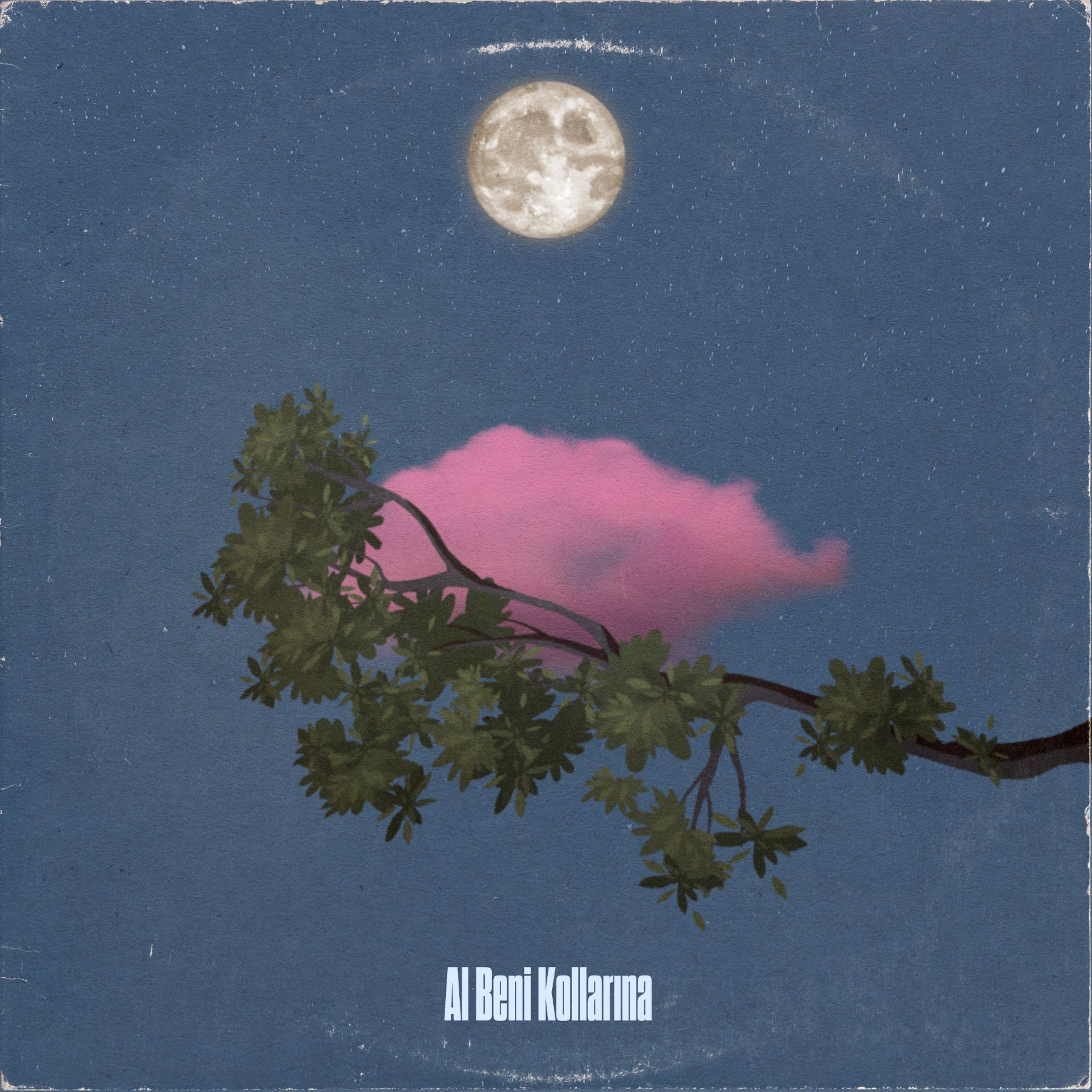 Ahmet Hatipoglu - Al Beni Kollarına